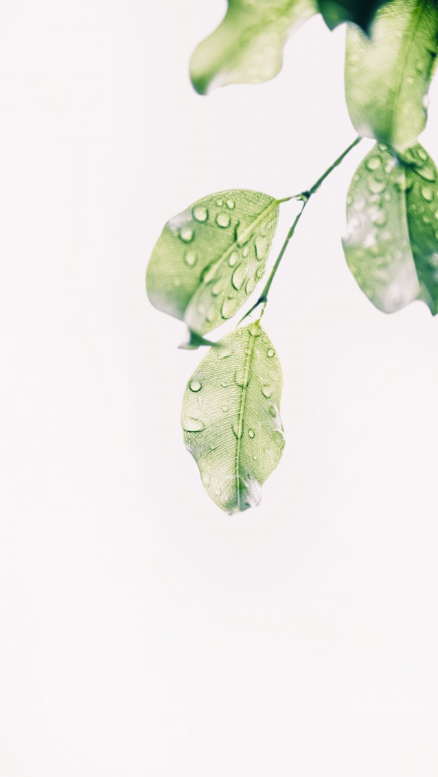 gallery/pexels-min-an-1654255